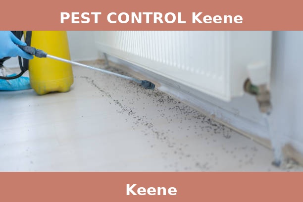 PEST CONTROL Keene